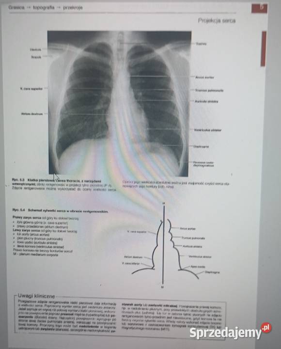 Atlasy anatomiczne Sobotta 3 części pdf Radom