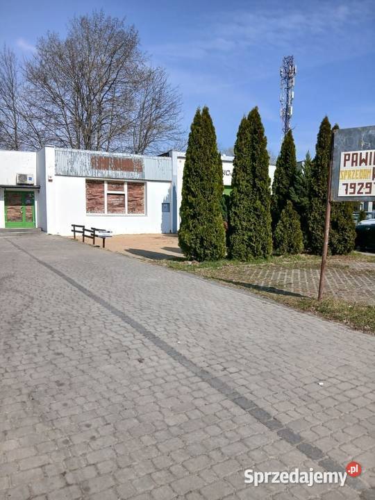 Pawilon HandlowoUsługowy 81 m Łódź Retkinia