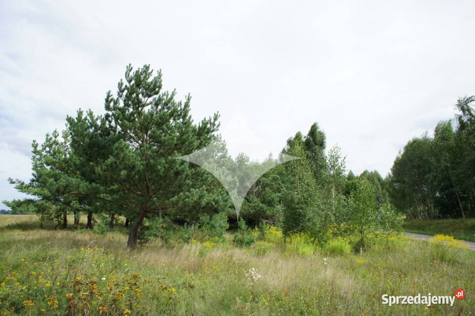działka pod turystykę jeziorem asfalt Makosieje