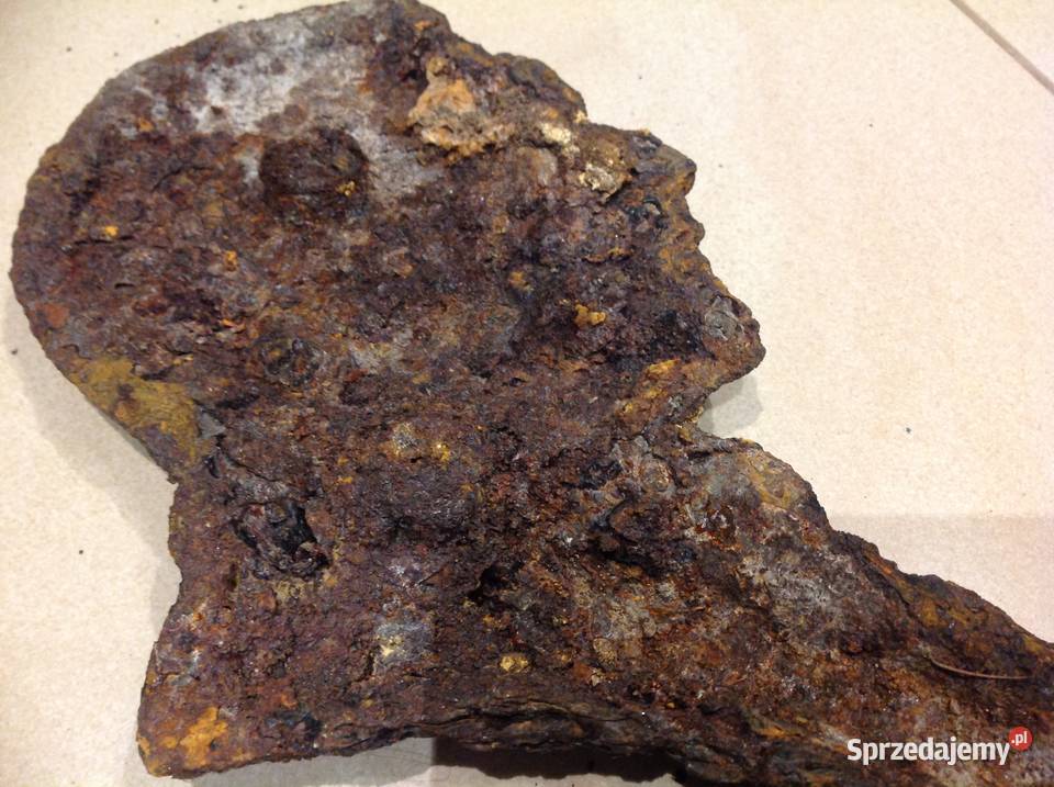 Popiersie Żeliwne Stare lubuskie Nowa Sól