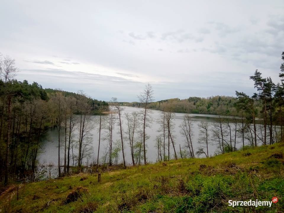 Mazury Stare Juchy grunty z WZ w okolicach warmińsko-mazurskie sprzedam