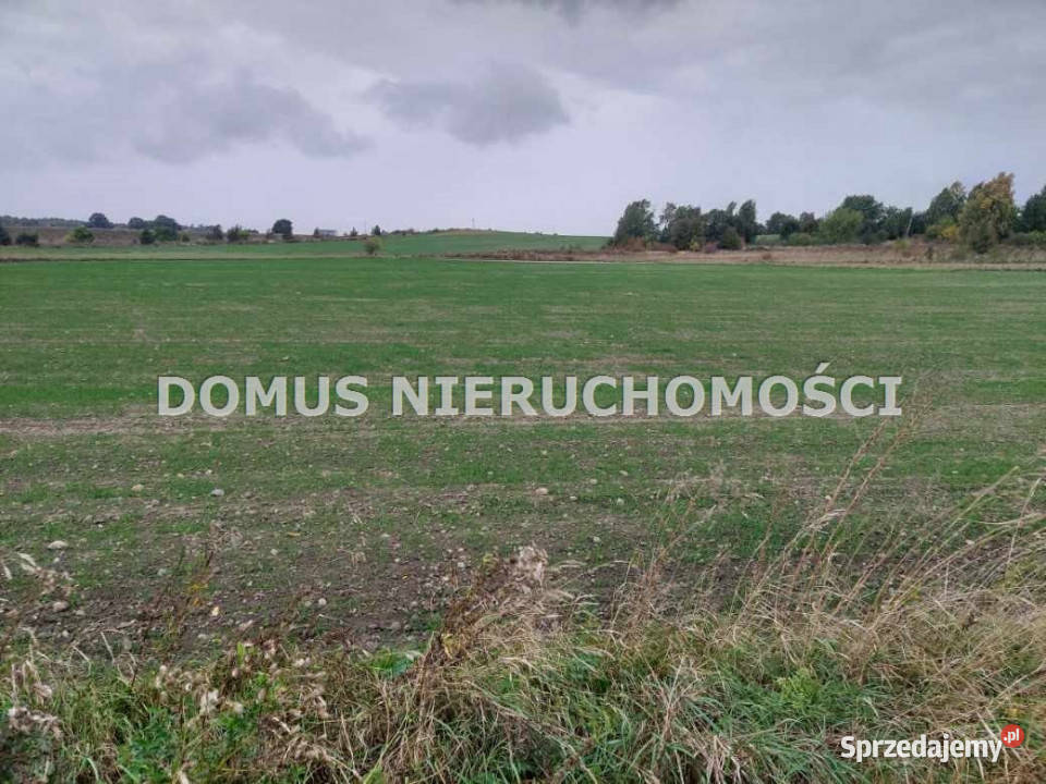 sprzedaży działki Tworzyjanki 3001m