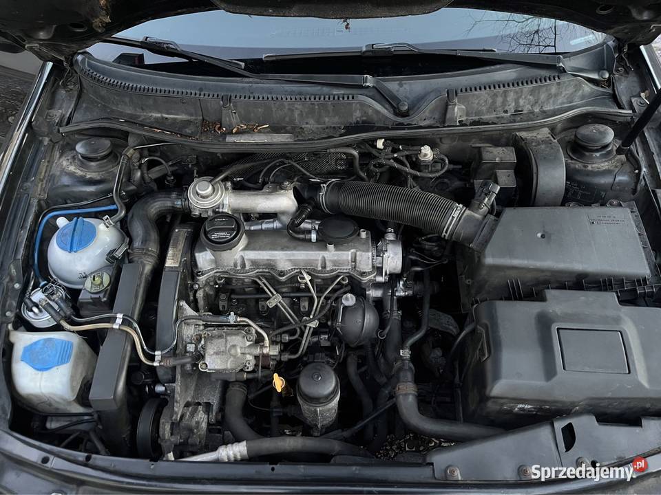 Seat Leon 19 TDI SPORT 2005 Z Niemiec Leon Łopuszno