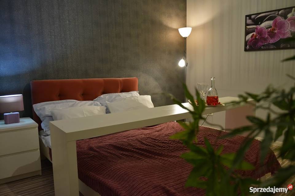 WIECZÓR KAWALERSKIPANIEŃSKI dom na Mazurach Pozostałe