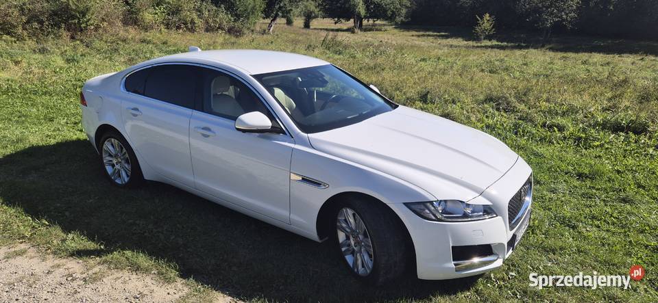 Jaguar XF 2016 20d Portfolio nieuszkodzony sprzedam