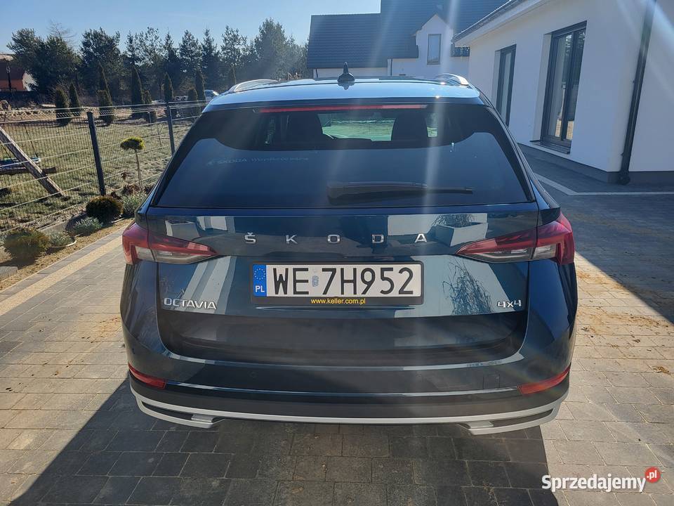 Skoda Octavia 20 TDI 4x4 Scout DSG Matrix LED Łomża