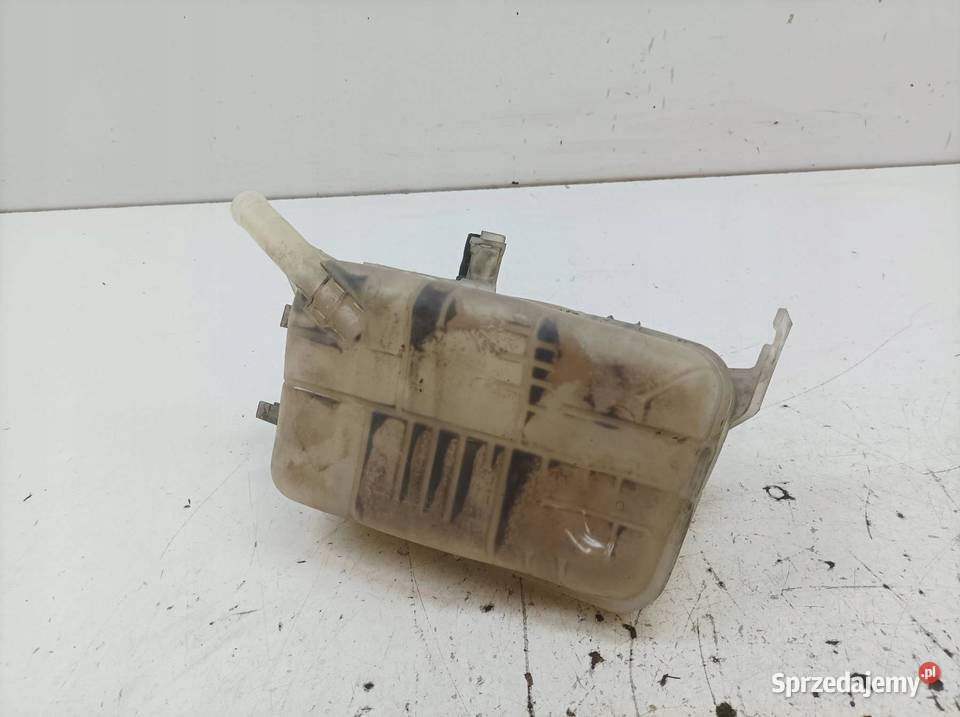 ZBIORNICZEK WYRÓWNAWCZY 217100005R Renault Rok produkcji 2012 świętokrzyskie