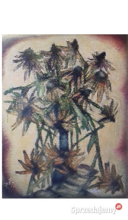 Magnetyzm Jeżówek Jarosław