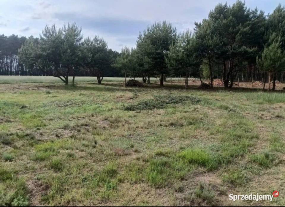 DZIAŁKA BUDOWLANA 1160 m UŚCIE GM KOLSKO 60zł/m2 lubuskie Uście sprzedam