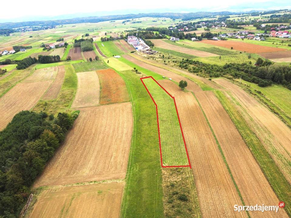 Działka rolna Łajsce rolna sprzedam