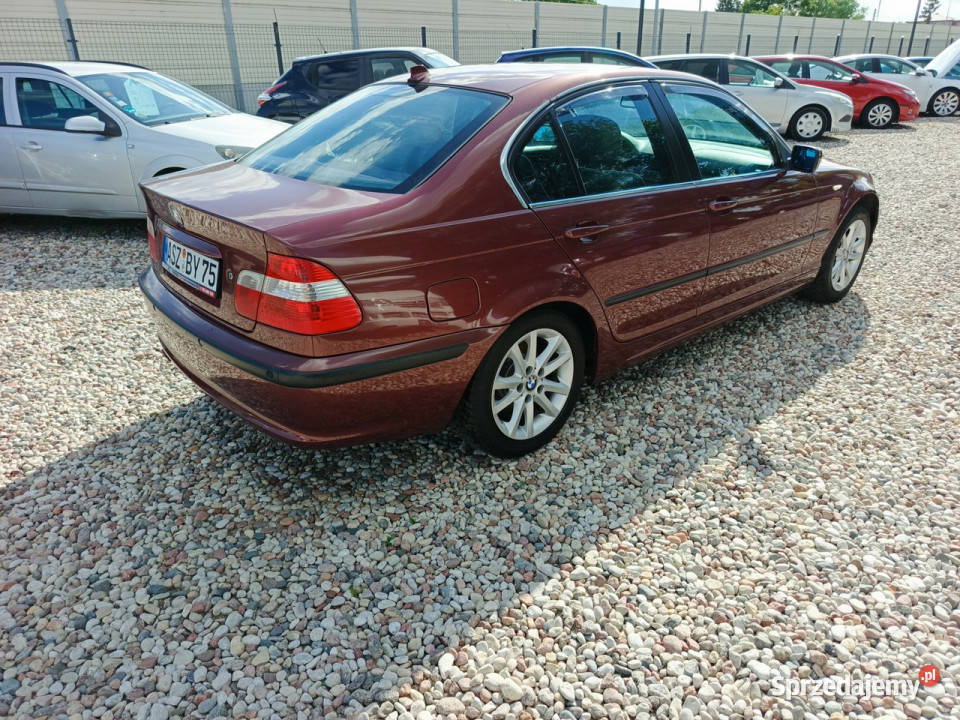 BMW 316 Zadbana Dobrze wyposażona E46 19982007 nieuszkodzony Chełm