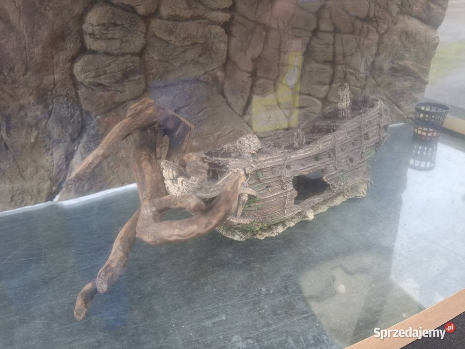 AKWARIUM PANORAMICZNE 112L Pokrywa Filtr Grzałka Korfantów