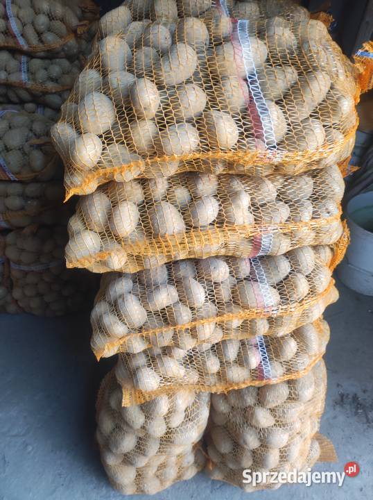 Sprzedam ziemniaki odmiany soraja małopolskie Olkusz