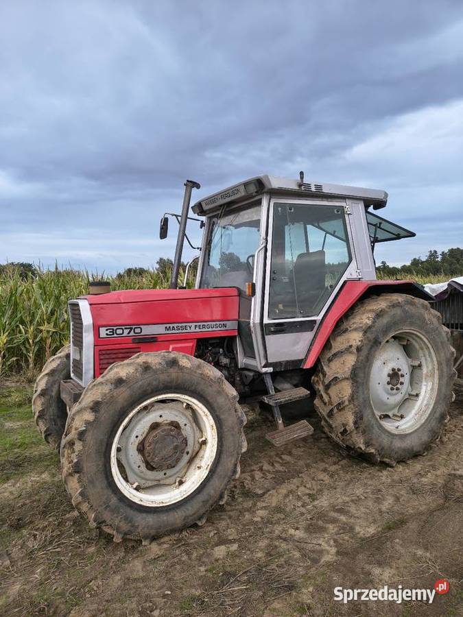 Massey Ferguson 3070 3060 3050 3080 Uniejów