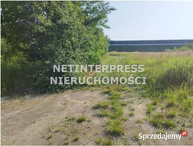 Działka Ułęż 14102m2