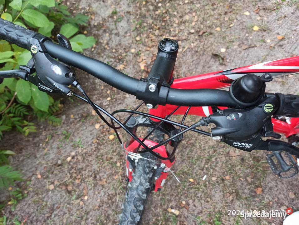 Rower dziecięcy górskimiejski GIANT aluminowa Radzyń Podlaski sprzedam