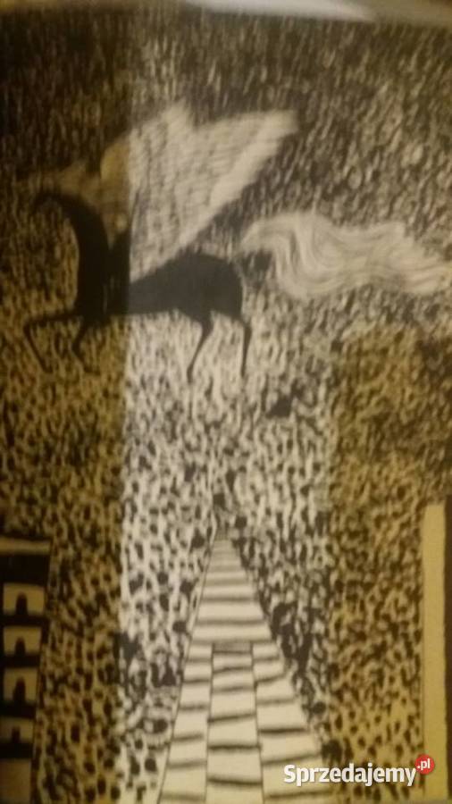 Wio Leokadio książki dziecięce ładnie wydane Warszawa