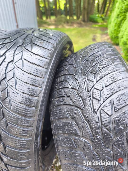 Nokian WR D4 opony zimowe Chmielnik