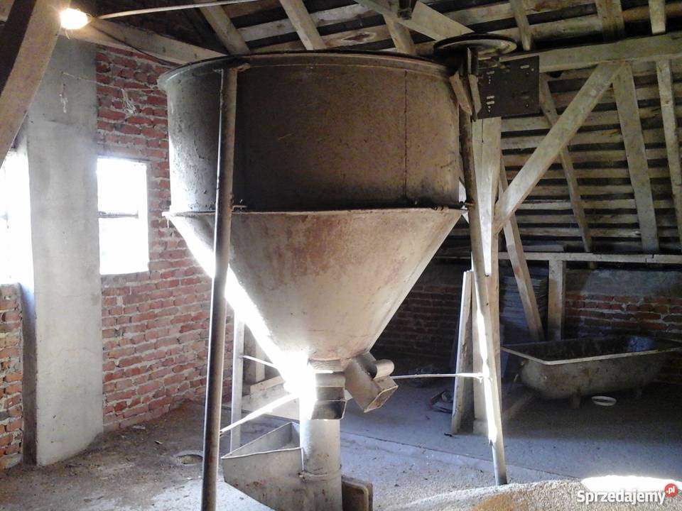 mieszlnik pasz wielkopolskie Słupca