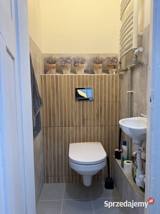 2pok 60met Nowowiejska KOMÓRKA Wrocław