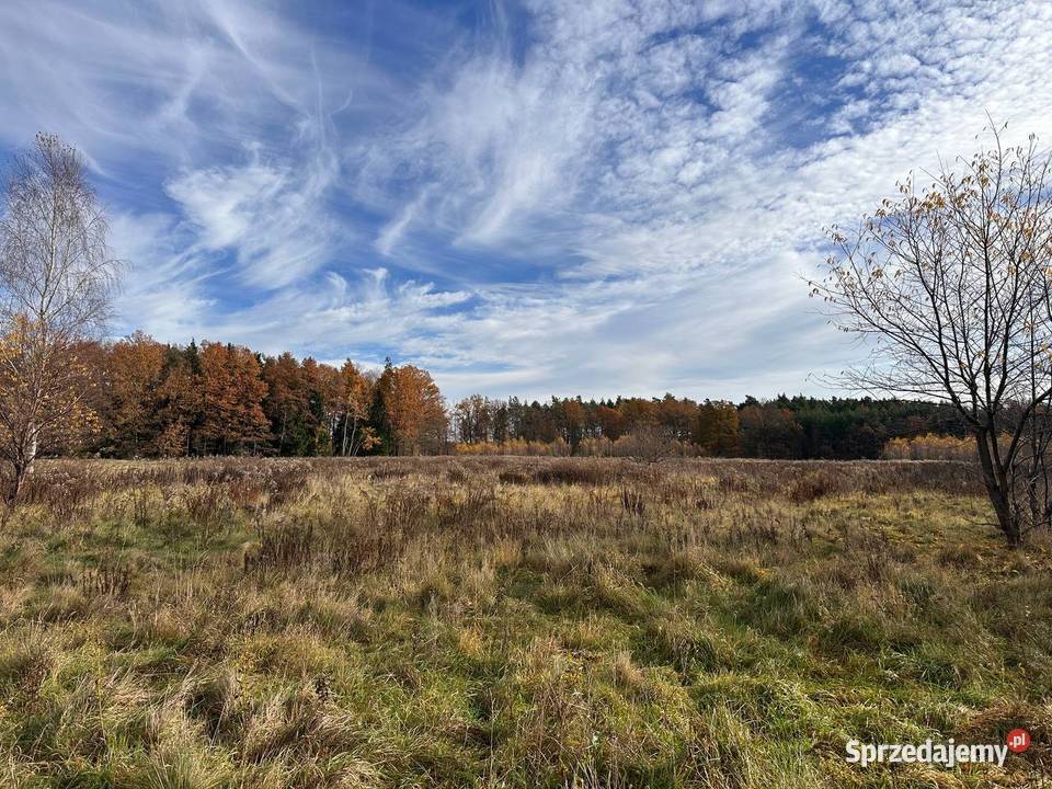 Działka budowlana lubuskie Wymiarki sprzedam