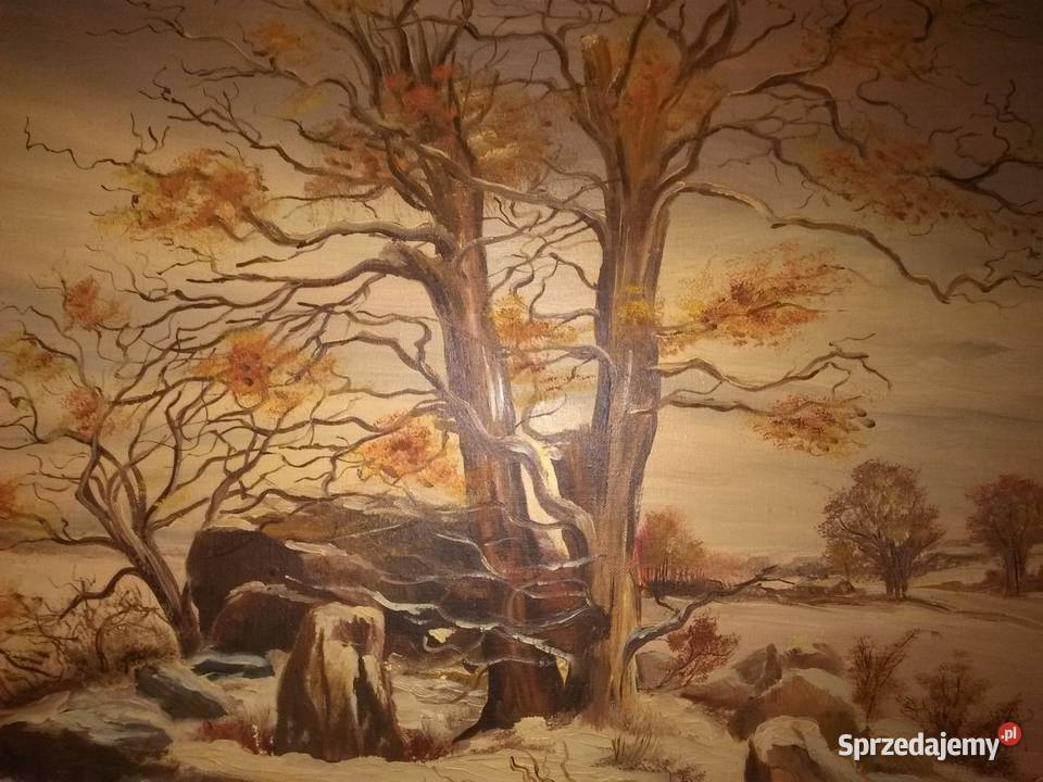 Cikawy pejzaż śląskie Katowice