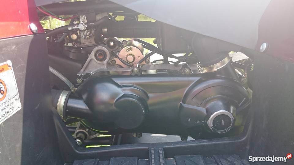 Quad Diablo VPoland 1503 Rok produkcji 2015