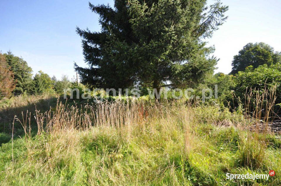 Urocza działka w Grzmiącej z wydanymi warunkami Sprzedaż dolnośląskie Grzmiąca