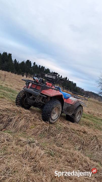 Suzuki ltf 250 podkarpackie Lesko