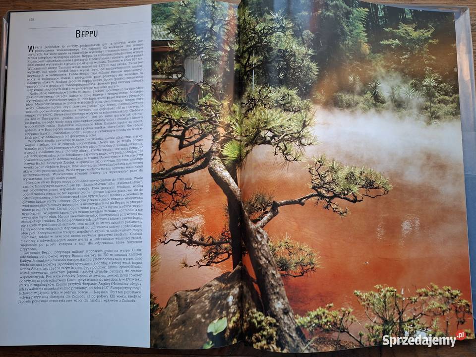 Cuda Natury Joyce Robins Pascal Kraków