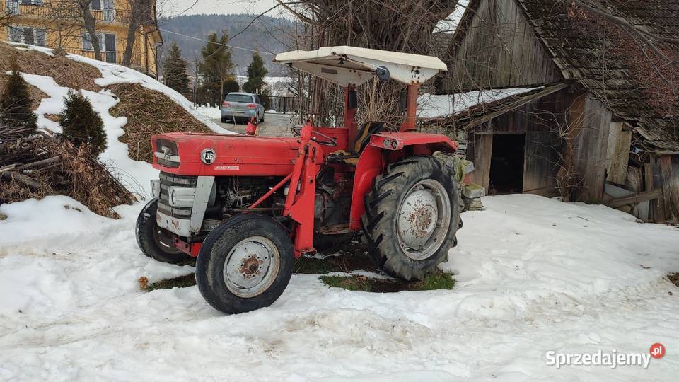 Massey Ferguson 135 multipower Limanowa