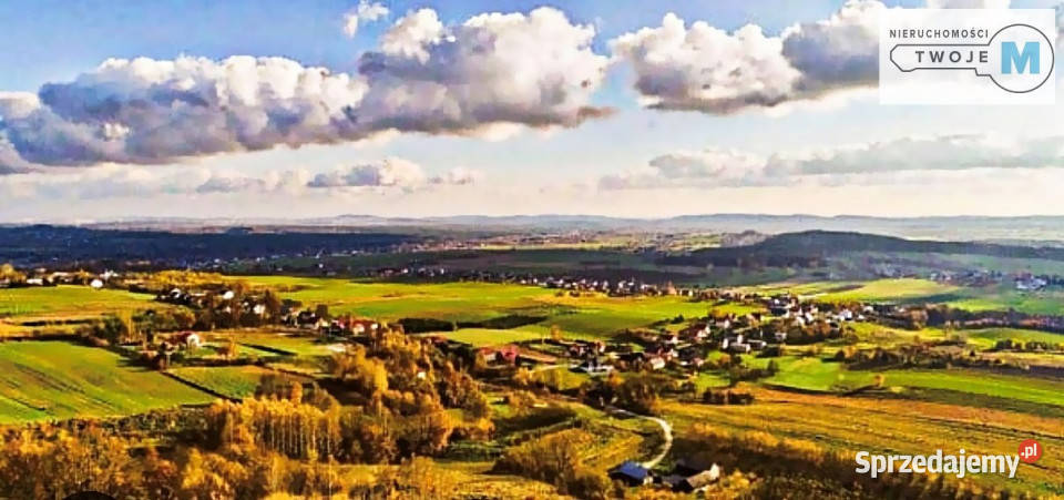 sprzedaży działki Mniów 5000 metrów 181.93m