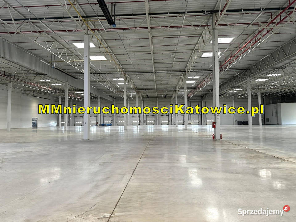 Magazyny do wynajęcia Ruda Śląska A4 super 0 klimatyzacja Nieruchomości śląskie