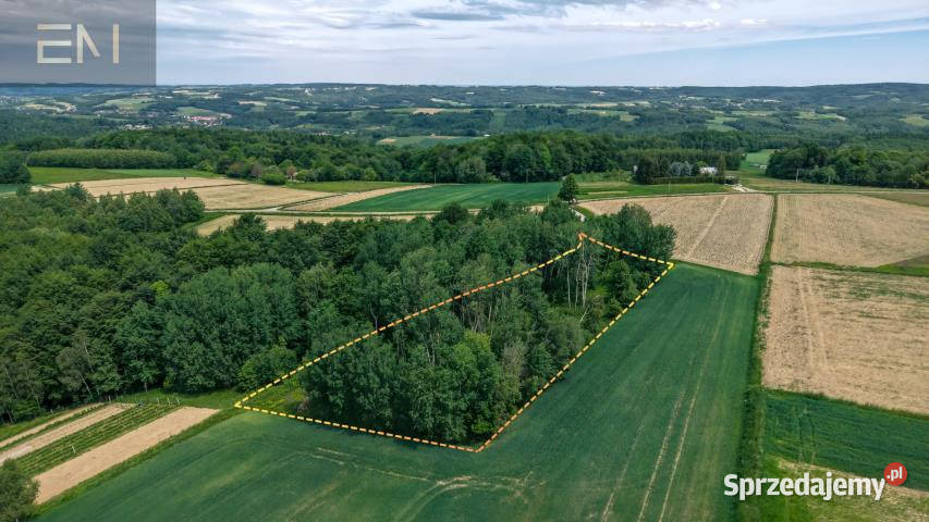 sprzedaży gruntu 4600m2 Szufnarowa