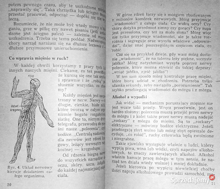 Wyprawa zdrowie Irena Krzeska lubelskie Chełm