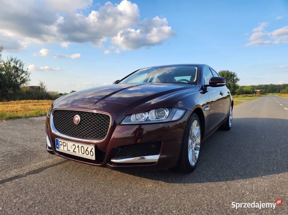 Jaguar XF 20 GTDi Prestige Salon 95 Zjawiskowy Pleszew
