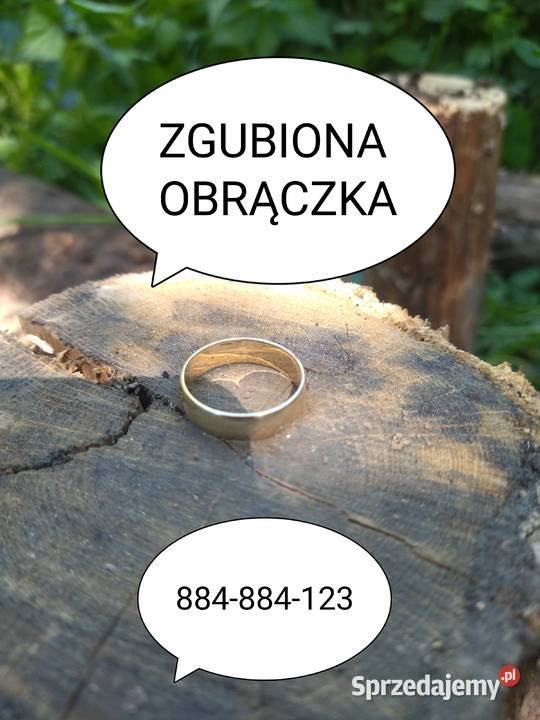 Usługi wykrywaczem metalu zgubiona obrączka Pozostałe usługi Poznań