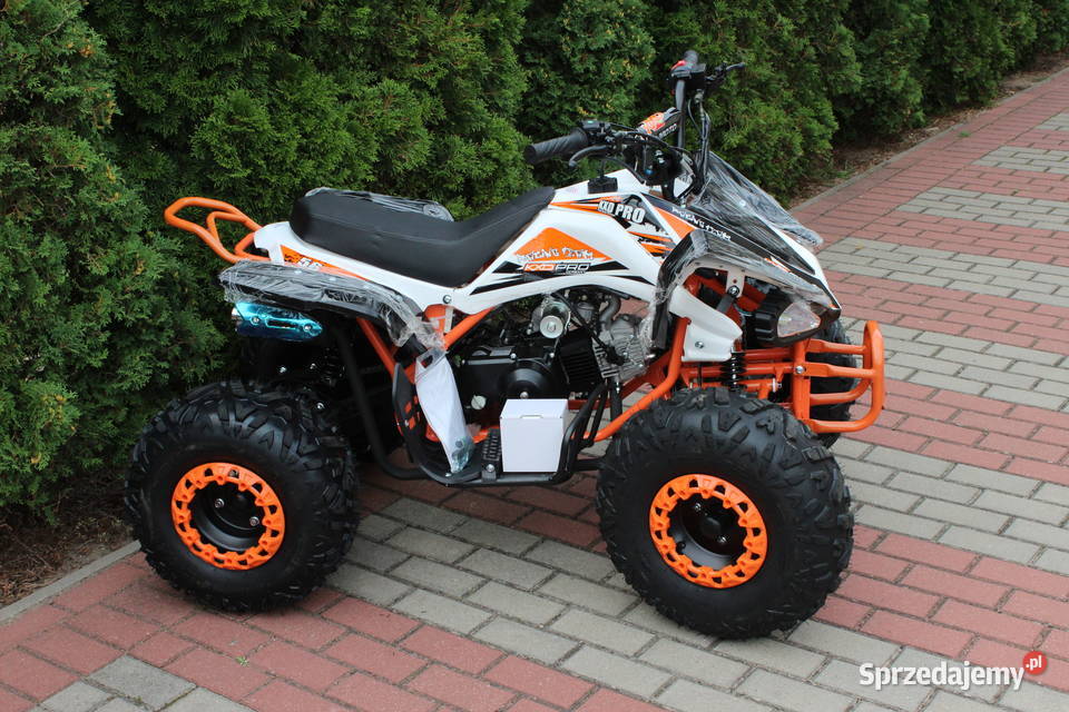 Quad raptor 125 średni 31 dzieci młodzieży Goleniów