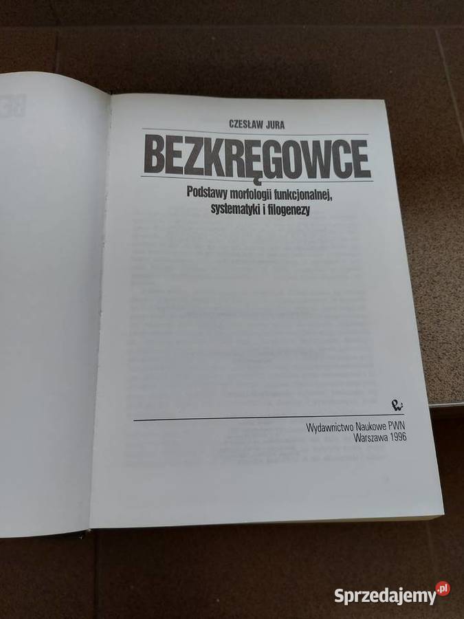 Książka Bezkręgowce podstawy morfologi Rok wydania 1996 Olkusz sprzedam