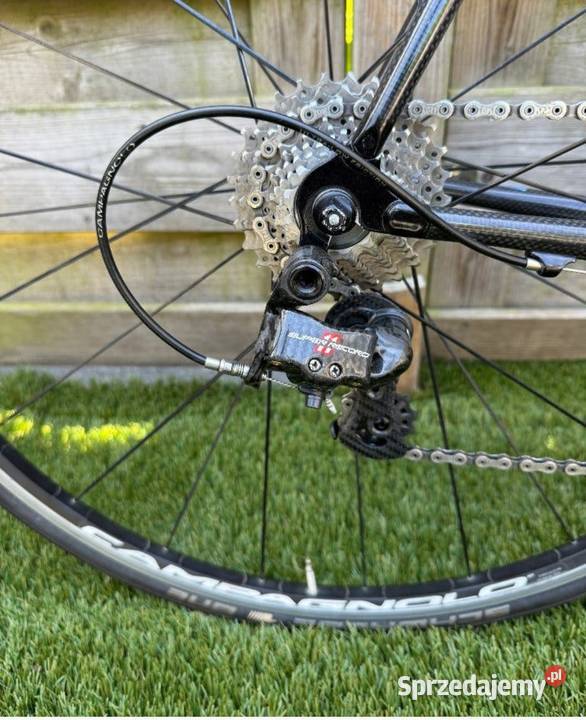 Colnago Campagnolo Ścinawa