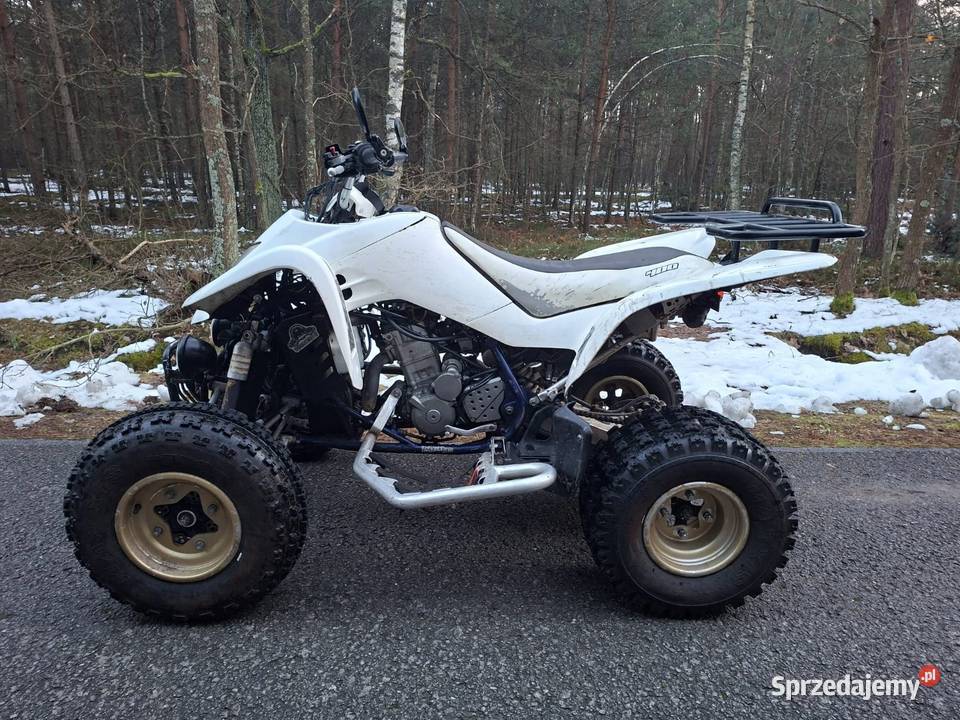 Suzuki Ltz 400 2005r Sprawny łańcuch Majdan Królewski sprzedam