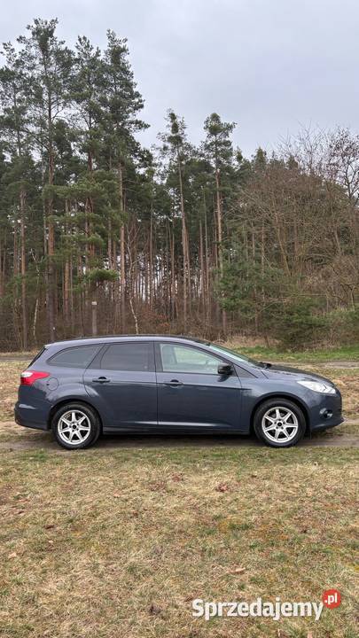Ford Focus 16 benzyna kombi klima niski przebieg 1600cm3 Lubin