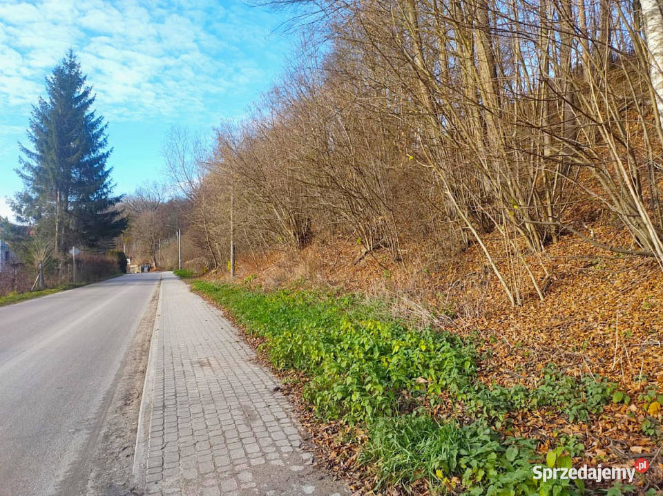 Działka Kazimierz Dolny 16626m2