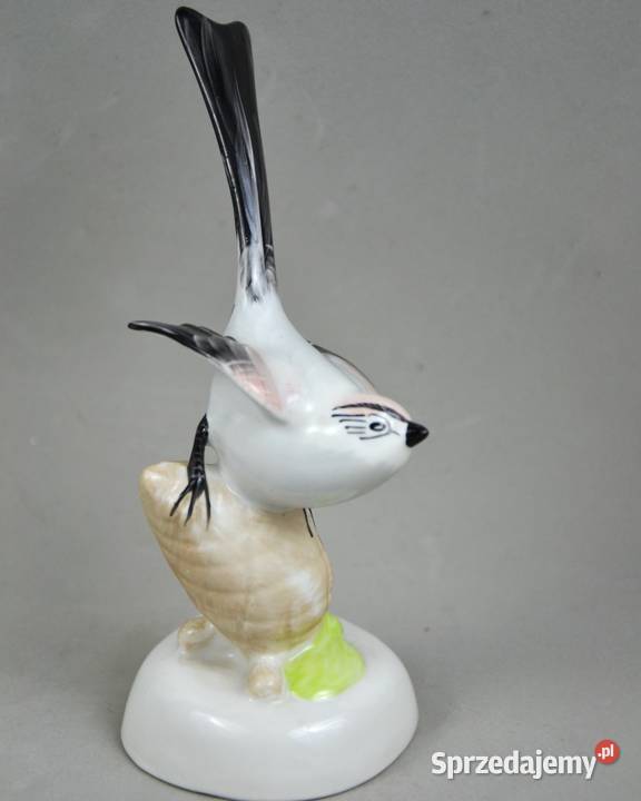 Ptak na szyszce Aquincum Budapeszt Węgry lata Pomiechówek