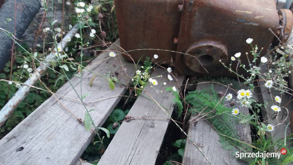 pompa hydrauliczna OK ładowarka czołowa 16ton Paczków