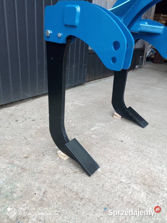 Głębosz 2 zęby zębny