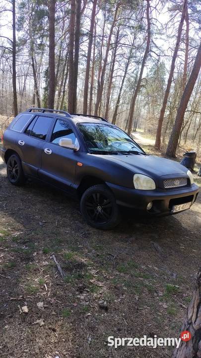 Hyundai Santa fe podkarpackie Rakszawa