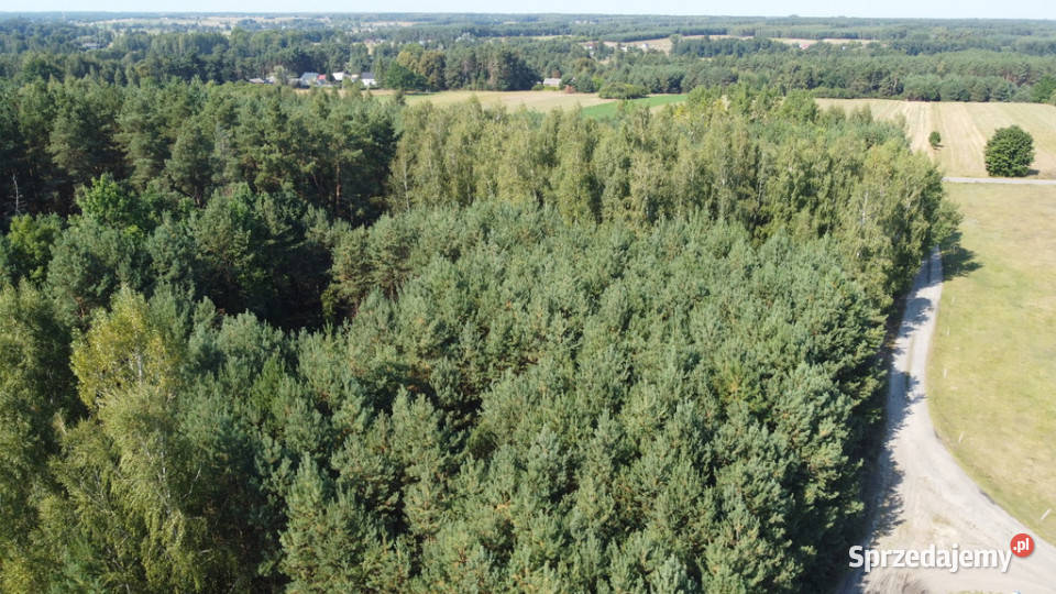 Dom na dużej działce w Świesielicach gm utwardzona Świesielice sprzedam