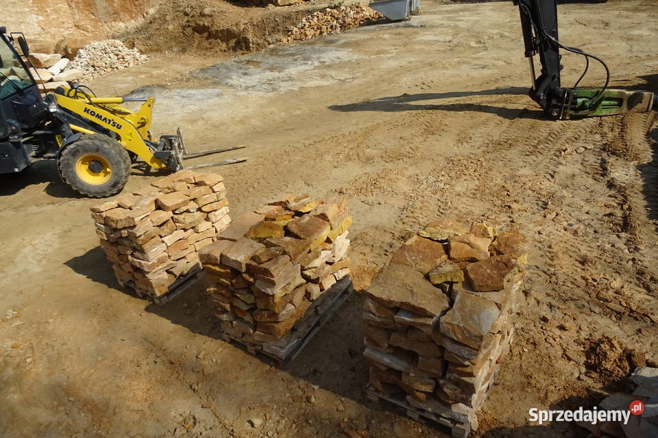 Dzikówka ogrodowa kamień na skalniak skarpy sprzedam