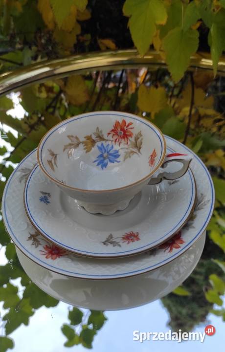 SZLACHETNA PORCELANA W PIĘKNE KWIATY TRIO Pabianice